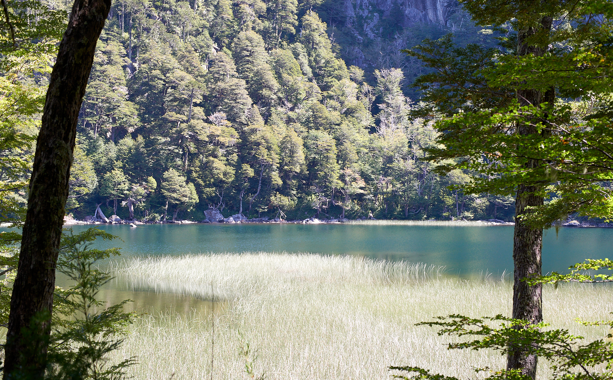 20200317 885 [칠레] 푸콘 우에르케우에 국립공원 트레킹